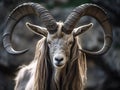 Ai Generated illustration Wildlife Concept of Markhor Goat with Twisted Horns