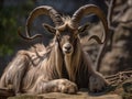 Ai Generated illustration Wildlife Concept of Markhor Goat with Twisted Horns