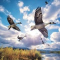 Ai Generated illustration Wildlife Concept of Migrating Canadian Geese Royalty Free Stock Photo