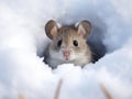 Ai Generated illustration Wildlife Concept of Mouse snow winter Royalty Free Stock Photo