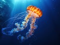 Ai Generated illustration Wildlife Concept of Pacific Sea Nettle orange jellyfish Royalty Free Stock Photo