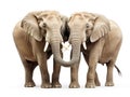 Ai Generated illustration Wildlife Concept of Pair of elephants