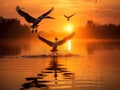 Ai Generated illustration Wildlife Concept of Pelicans flying at sunrise in Danube Delta Romania Royalty Free Stock Photo