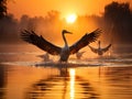 Ai Generated illustration Wildlife Concept of Pelicans flying at sunrise in Danube Delta Romania Royalty Free Stock Photo