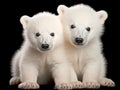 Ai Generated illustration Wildlife Concept of Polar bear cub Ursus maritimus 3 months old Royalty Free Stock Photo