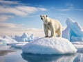 Ai Generated illustration Wildlife Concept of Polar bears on iceberg Royalty Free Stock Photo