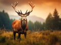 Ai Generated illustration Wildlife Concept of Red Deer grunt