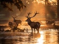 Ai Generated illustration Wildlife Concept of Red Deer in Morning Sun Royalty Free Stock Photo