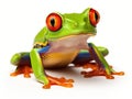 Ai Generated illustration Wildlife Concept of Red-eyed tree frog isolated Royalty Free Stock Photo