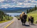 Ai Generated illustration Wildlife Concept of Road Buffalo Royalty Free Stock Photo