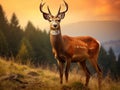 Ai Generated illustration Wildlife Concept of Roe deer buck looking proud Royalty Free Stock Photo