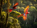 Ai Generated illustration Wildlife Concept of Scarlet macaws flying corcovado nat park costa rica