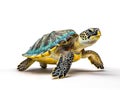 Ai Generated illustration Wildlife Concept of Sea turtle isolated Royalty Free Stock Photo