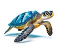 Ai Generated illustration Wildlife Concept of Sea turtle isolated Royalty Free Stock Photo