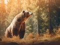 Ai Generated illustration Wildlife Concept of Side view of a brown bear in a forest in fall season Royalty Free Stock Photo