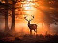 Ai Generated illustration Wildlife Concept of Silhouette of a red deer stag Royalty Free Stock Photo