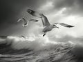 Ai Generated illustration Wildlife Concept of Silver gulls over stormy sea Royalty Free Stock Photo