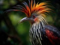 Ai Generated illustration Wildlife Concept of The strange Hoatzin