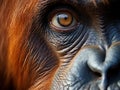 Ai Generated illustration Wildlife Concept of Sumatran Orangutan