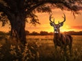 Ai Generated illustration Wildlife Concept of Texas Whitetail Deer