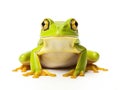 Ai Generated illustration Wildlife Concept of Tree frog Royalty Free Stock Photo