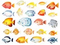 Ai Generated illustration Wildlife Concept of Tropical fish set. Royalty Free Stock Photo