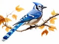 Ai Generated illustration Wildlife Concept of Watchful bluejay on a branch