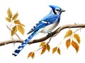 Ai Generated illustration Wildlife Concept of Watchful bluejay on a branch