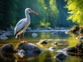 Ai Generated illustration Wildlife Concept of White Stork (Ciconia ciconia)