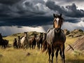 Ai Generated illustration Wildlife Concept of Wild Horse Herd Horses Storm Cloud