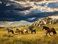 Ai Generated illustration Wildlife Concept of Wild Horse Herd Horses Storm Cloud