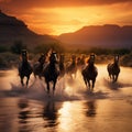 Ai Generated illustration Wildlife Concept of Wild Horses Mustangs in Salt River Arizona Royalty Free Stock Photo