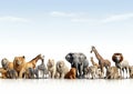 Ai Generated illustration Wildlife Concept of Wild Zoo Animals on White Web Banner Royalty Free Stock Photo