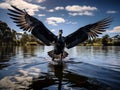 Ai Generated illustration Wildlife Concept of Wildlife and Animals - Black Swan Royalty Free Stock Photo