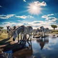 Ai Generated illustration Wildlife Concept of Zebra herd having a drink