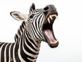 Ai Generated illustration Wildlife Concept of Zebra Laugh or Shout Royalty Free Stock Photo
