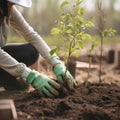 AI generated illustration of a woman in gardening gloves, planting a small sapling