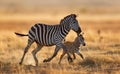 AI generated illustration of zebras in an outdoor grassland environment running