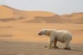 Animals in the wrong place global warming climate changes AI generated