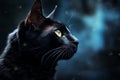 Black Cat halloween background Royalty Free Stock Photo
