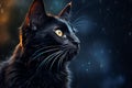 Black Cat halloween background Royalty Free Stock Photo