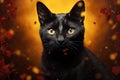 Black Cat halloween background Royalty Free Stock Photo