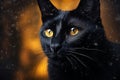 Black Cat halloween background Royalty Free Stock Photo