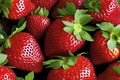 Strawberry is a fruit in the Rosaceae family