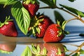 Strawberry is a fruit in the Rosaceae family