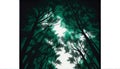 Emerald Canopy: A Minimalistic Depiction of Nature\'s Majesty, Made with Generative AI