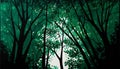 Emerald Canopy: A Minimalistic Depiction of Nature\'s Majesty, Made with Generative AI