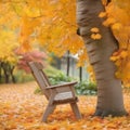 the close shot of the wooden bench beside huge autumn tree with falling leaves with bokeh background