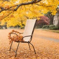 the close shot of the wooden bench beside huge autumn tree with falling leaves with bokeh background