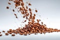 Ai generated image of coffee beans flying over white Royalty Free Stock Photo